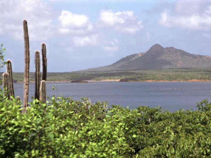 Lake goto