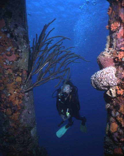 Salt pier
