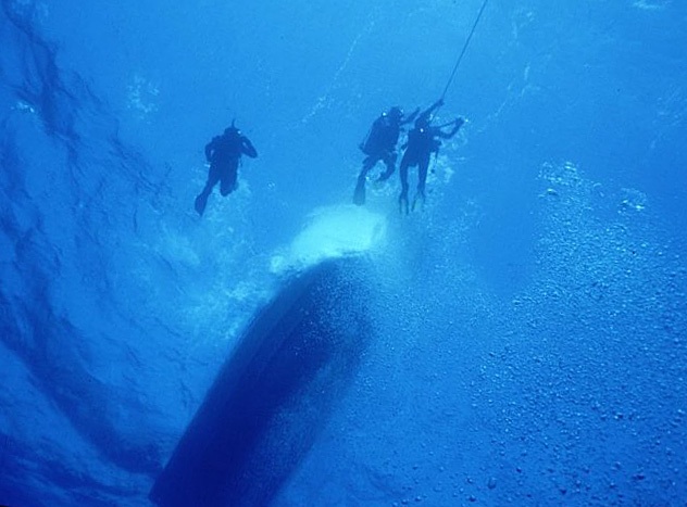divers at the surface<
