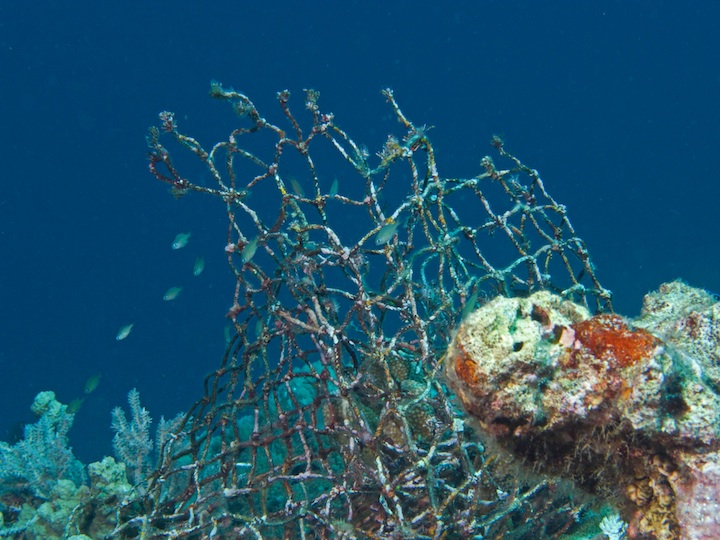 Fishing net