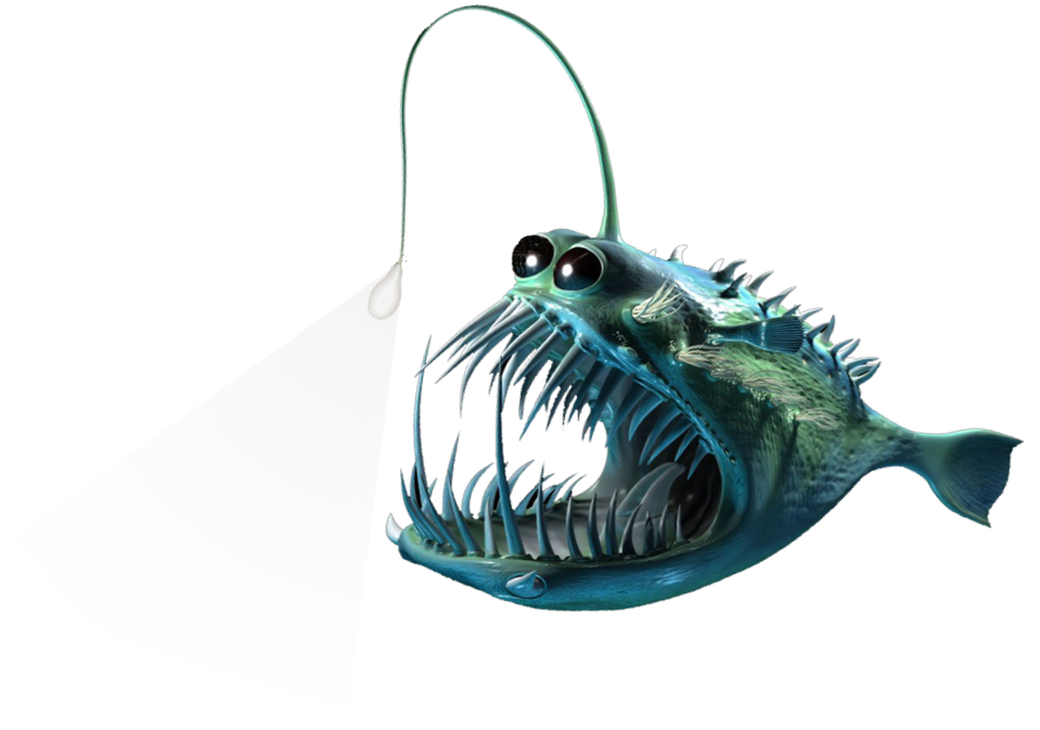 deepsea fish shines a light
